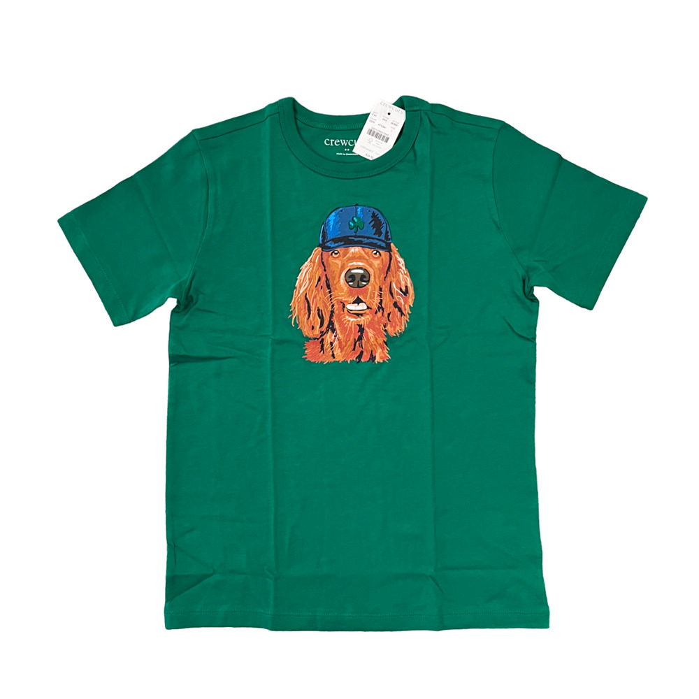 NWT J. Crew Boys' Green W/St. Patrick's Day Dog Graphic Tee -